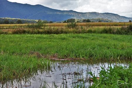 Turistično društvo Škofljica